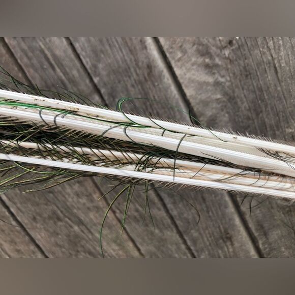 AUTHENTIC Peacock Feathers - Picture 8 of 14